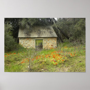 Old Rustic Stone Cottage Flowers Meadows Poster