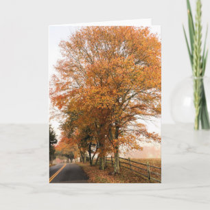 Old Sandwich Road Foliage Card