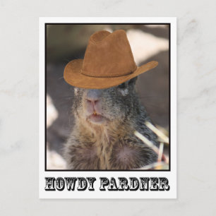 "Old Squrly" Postcard