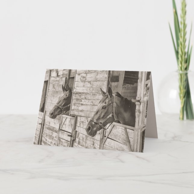 old stable horses greeting card (Front)