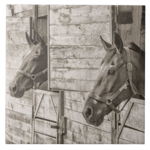 old stable horses tile