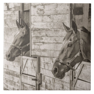 old stable horses tile