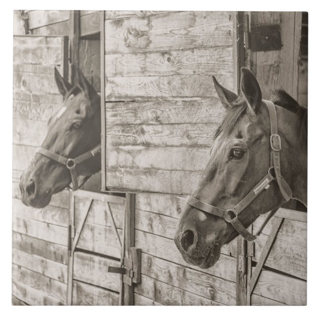 old stable horses tile (Front)