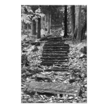 Old Stone Steps