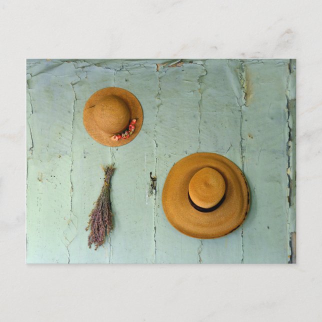 Old Straw Hats Postcard (Front)