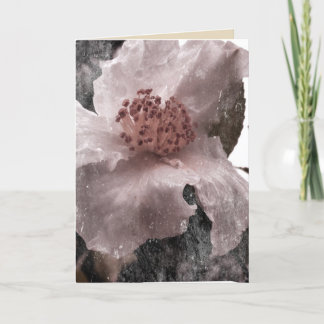 Old Timey Style White Blossom Blank Card
