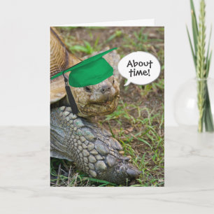 Old Tortoise Graduate with Green Cap Card