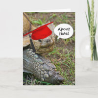 Old Tortoise Graduate with Red Cap