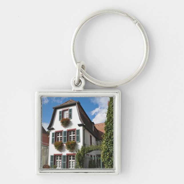 Old Town Heidelberg, Germany Key Ring (Front)
