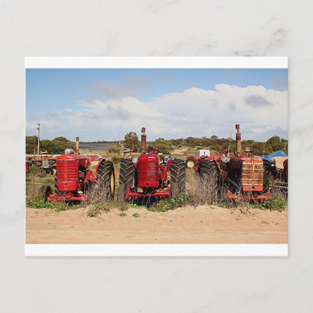 Old tractors farm machinery Australia Postcard (Front)