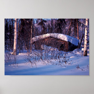 Old Trapper's Cabin Poster