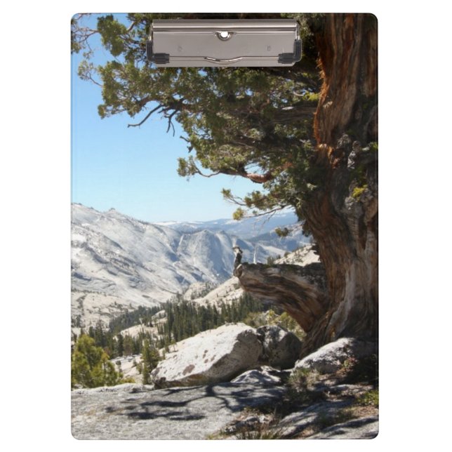 Old Tree at Yosemite National Park Clipboard (Front)