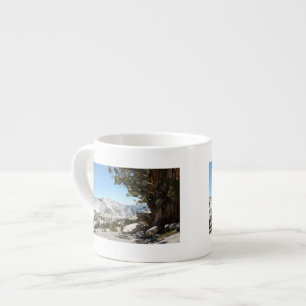 Old Tree at Yosemite National Park Espresso Cup