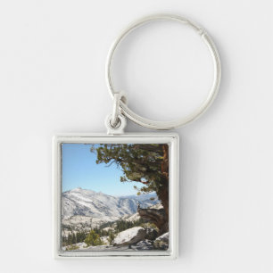 Old Tree at Yosemite National Park Key Ring