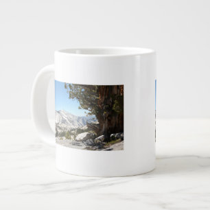 Old Tree at Yosemite National Park Large Coffee Mug