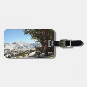 Old Tree at Yosemite National Park Luggage Tag