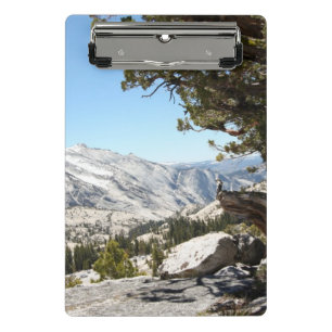 Old Tree at Yosemite National Park Mini Clipboard