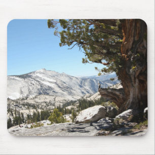 Old Tree at Yosemite National Park Mouse Pad