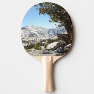 Old Tree at Yosemite National Park Ping Pong Paddle