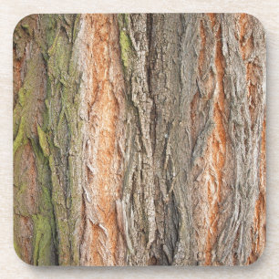old tree coaster