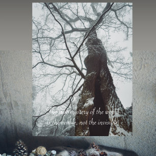 Old Tree in a Misty Forest Poster