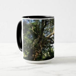 Old Tree Photo Ringer Combo Mug