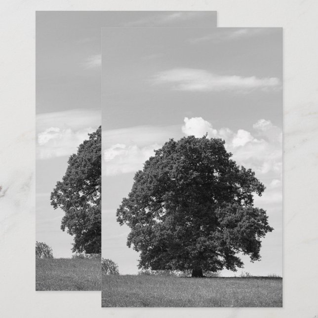 Old tree stationery (Front/Back)