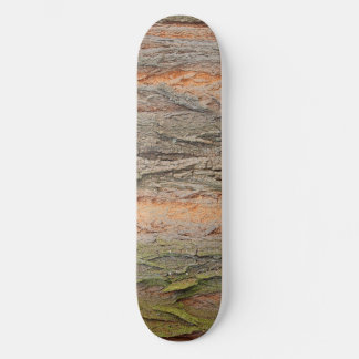 old tree teapot skateboard