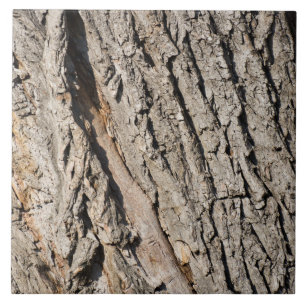 Old trunk pattern ceramic tile