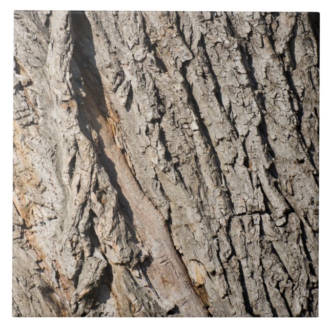 Old trunk pattern ceramic tile (Front)