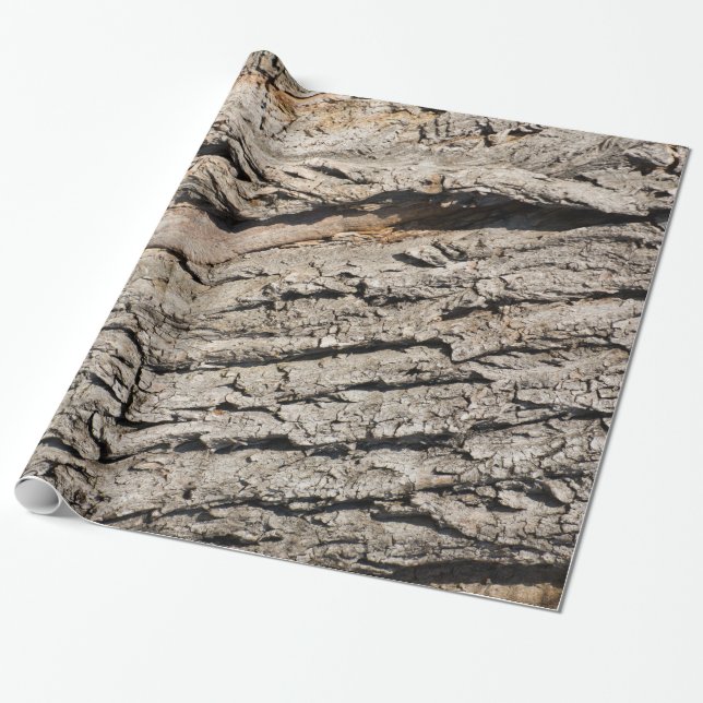 Old trunk pattern wrapping paper (Unrolled)