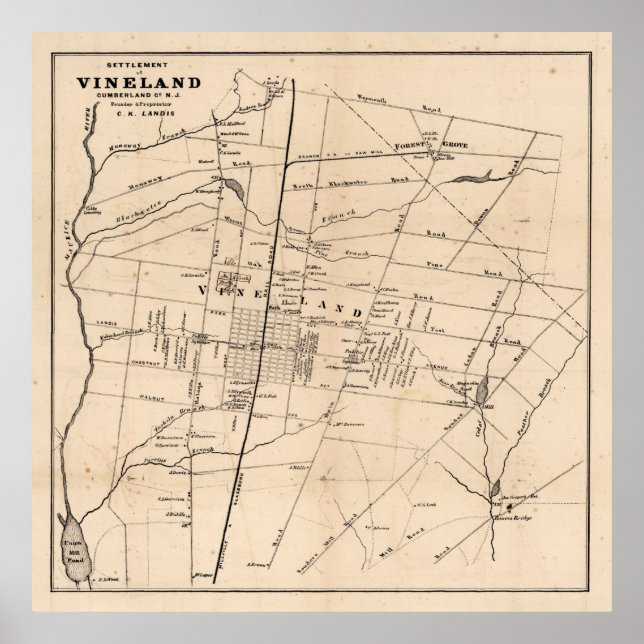 Old Vineland NJ Map (1875) Dandelion Capital  Poster (Front)