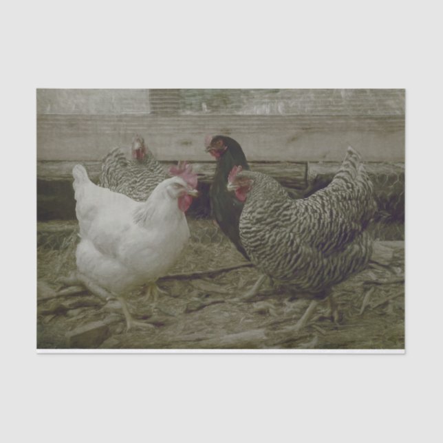 Old Vintage Barnyard Country Chicken Tissue Paper (Front)