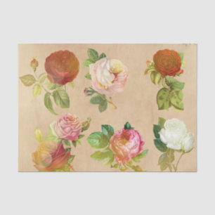 Old Vintage Rose Floral Print Tissue Paper