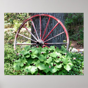 Old Wagon Wheel Trillium Flower Garden Poster