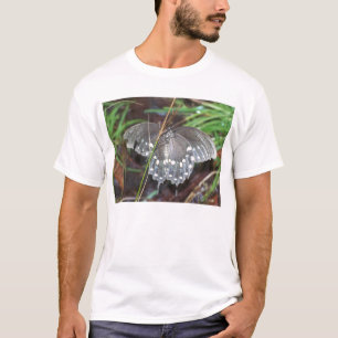 Old Warrior Shirt
