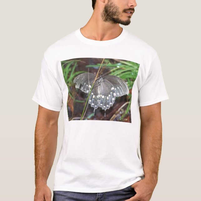 Old Warrior Shirt (Front)