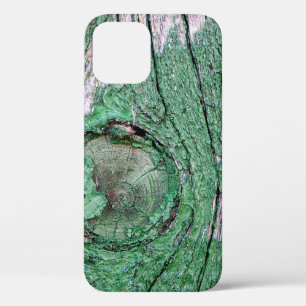 Old Weathered Painted Green Wood Background Textur iPhone 12 Case