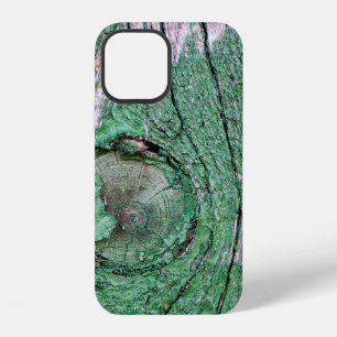 Old Weathered Painted Green Wood Background Textur iPhone 12 Case