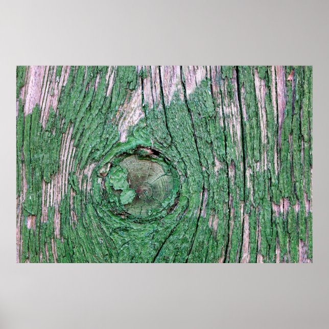 Old Weathered Painted Green Wood Background Textur Poster (Front)