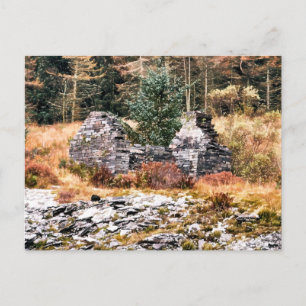 OLD WELSH COTTAGE POSTCARD