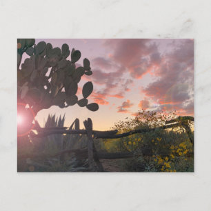 Old West Fence Desert Sunset Flare Postcard