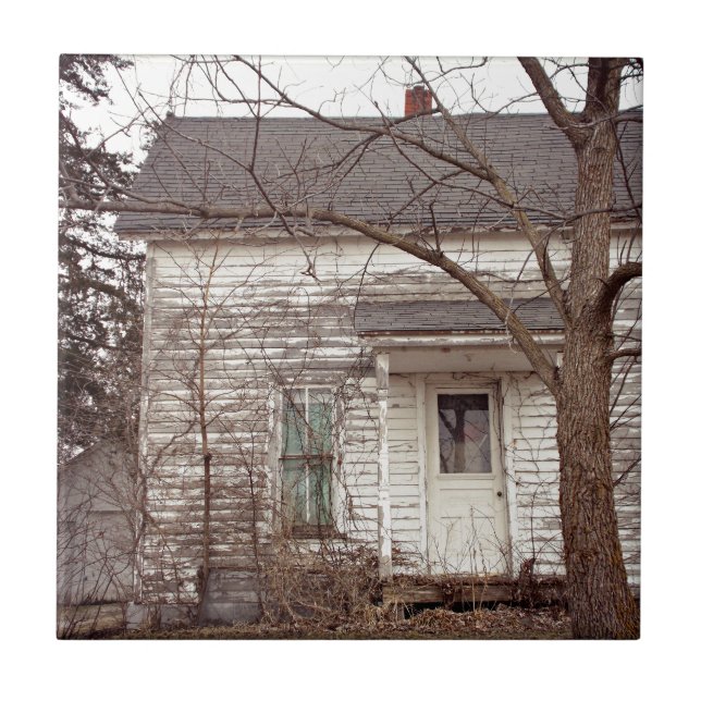 Old White Abandoned House Tile (Front)