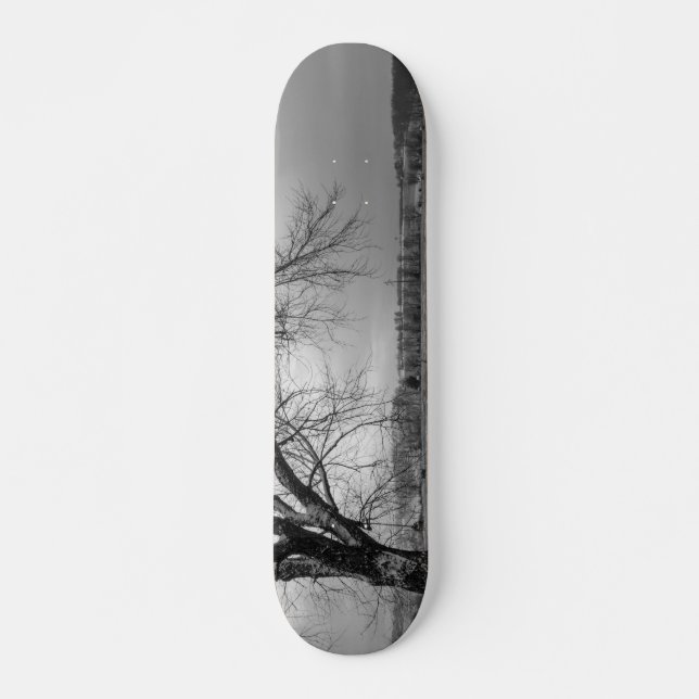 Old Winter Tree Grayscale Skateboard (Front)