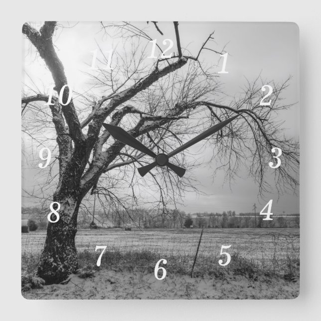 Old Winter Tree Grayscale Wall Clock (Front)