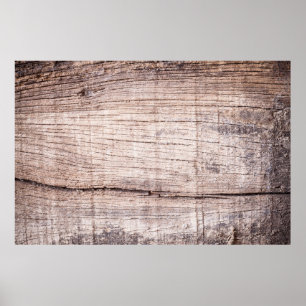 Old wood background. wood, trunk, background, stum poster