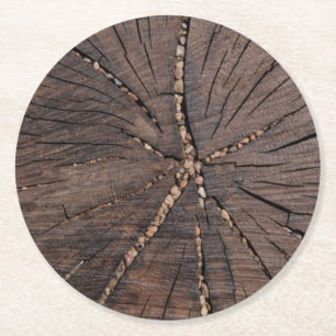 Old Wood Slice Tree Stump Round Paper Coaster