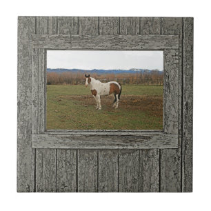 Old wood window paint horse ceramic tile
