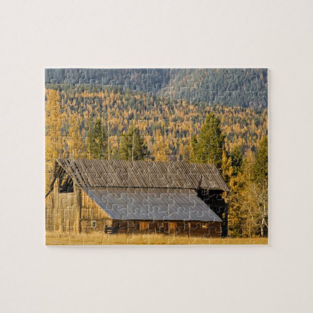 Old wooden barn with autumn tamaracks near jigsaw puzzle (Horizontal)