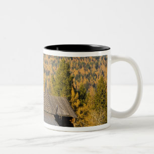 Old wooden barn with autumn tamaracks near Two-Tone coffee mug